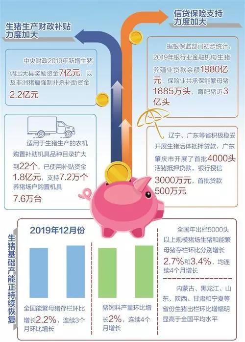 澳门与广东省生猪调剂补贴，合作新篇章