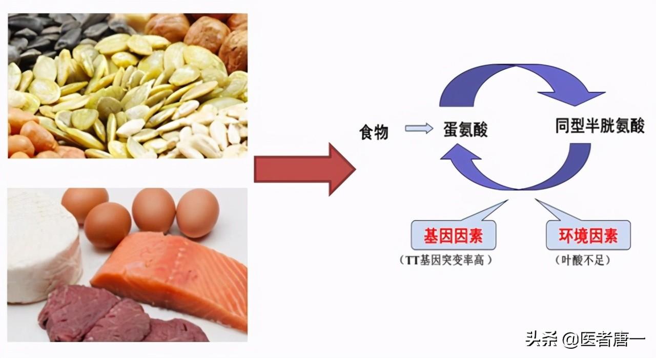 叶酸可以吃几个月，科学补充与持续时间的探讨