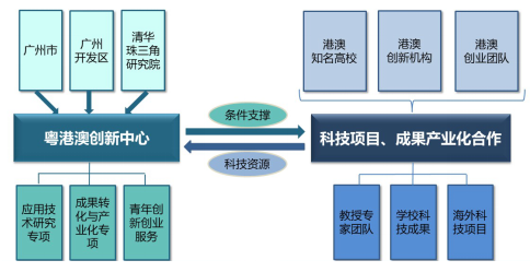 广东鑫洋科技有限公司，澳门知识类专家视角下的创新与发展