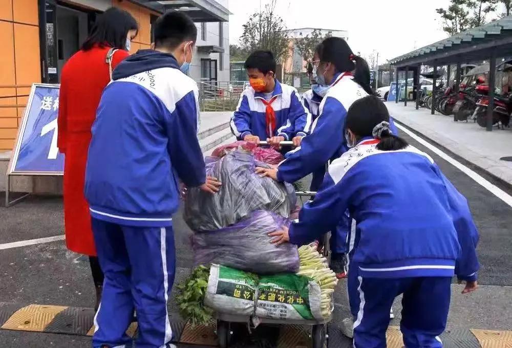 七个月宝宝能吃菠菜吗？