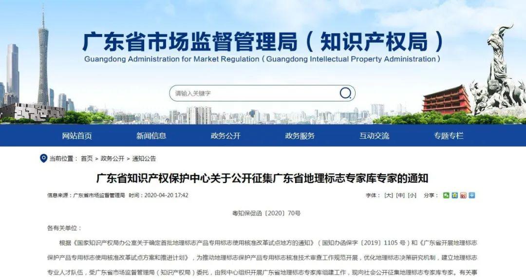 广东增城检测有限公司，澳门知识类专家视角下的深度剖析