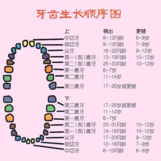 10个月没长牙，探索婴儿牙齿萌出的奥秘